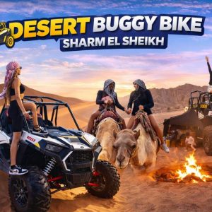 Desert Buggy Bike in Sharm El Sheikh