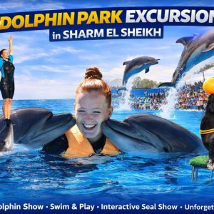 Dolphin Park Excursion in Sharm El Sheikh