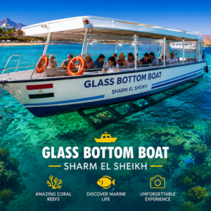 Glass Bottom Boat | Sharm El Sheikh